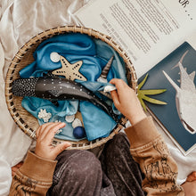 Load image into Gallery viewer, Winter Silkie