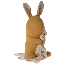 Load image into Gallery viewer, Lullaby friends, Bunny