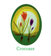 Φόρτωση εικόνας στο εργαλείο προβολής Συλλογής, Διάφανες Σκηνές Παραθύρου Μέσα στο Έτος