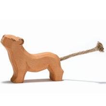 Φόρτωση εικόνας στο εργαλείο προβολής Συλλογής, Λιοντάρι μικρό με το κεφάλι ψηλά