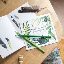 Φόρτωση εικόνας στο εργαλείο προβολής Συλλογής, Κουτί ανακάλυψης πουλιών