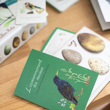 Φόρτωση εικόνας στο εργαλείο προβολής Συλλογής, Κουτί ανακάλυψης πουλιών