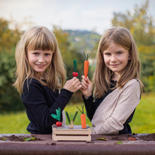 Φόρτωση εικόνας στο εργαλείο προβολής Συλλογής, Κήπος λαχανικών