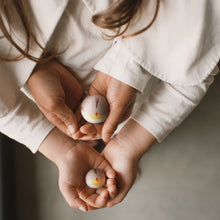 Load image into Gallery viewer, Advent Calendar 2025 - Limited Edition