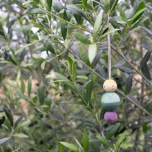 Load image into Gallery viewer, Nº 1 Snowy Buddy