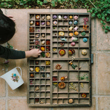 Load image into Gallery viewer, Flower Meadow