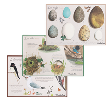 Φόρτωση εικόνας στο εργαλείο προβολής Συλλογής, Κουτί ανακάλυψης πουλιών