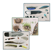 Φόρτωση εικόνας στο εργαλείο προβολής Συλλογής, Κουτί ανακάλυψης πουλιών