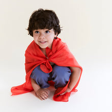 Load image into Gallery viewer, Playsilks