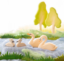 Φόρτωση εικόνας στο εργαλείο προβολής Συλλογής, Κύκνος μικρός