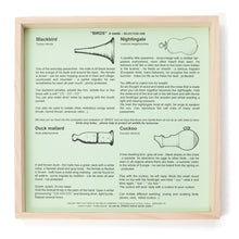 Load image into Gallery viewer, 4 bird voices Simple