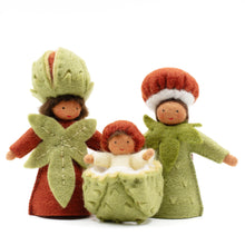 Φόρτωση εικόνας στο εργαλείο προβολής Συλλογής, Οικογένεια Κάστανο