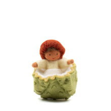 Φόρτωση εικόνας στο εργαλείο προβολής Συλλογής, Οικογένεια Κάστανο