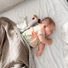 Load image into Gallery viewer, Cuddly animal Chicken small