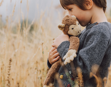 Load image into Gallery viewer, Cuddly animal Monkey small