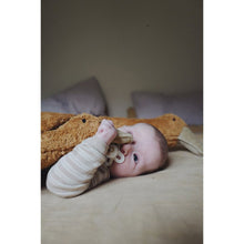 Load image into Gallery viewer, Cuddly animal Goose small, rust