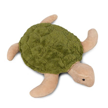 Load image into Gallery viewer, Cuddly Animal Turtle small - fir green