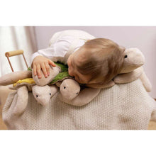 Load image into Gallery viewer, Cuddly Animal Turtle small - fir green