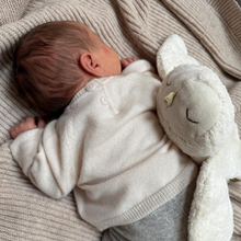 Load image into Gallery viewer, Cuddly Animal Snowy Owl small