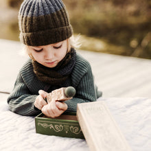 Load image into Gallery viewer, Twist puzzle - Magic Forest