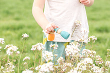 Load image into Gallery viewer, 12 Nins Wizards