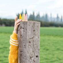 Φόρτωση εικόνας στο εργαλείο προβολής Συλλογής, Χρωματιστά Sticks