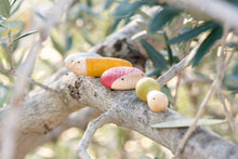 Load image into Gallery viewer, Insect family