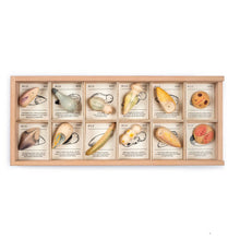 Load image into Gallery viewer, Wild