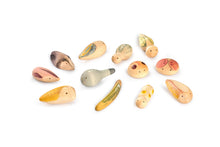 Load image into Gallery viewer, Wild