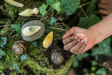 Load image into Gallery viewer, Wild