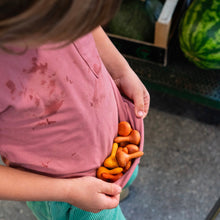 Φόρτωση εικόνας στο εργαλείο προβολής Συλλογής, Mandala Κολοκύθες