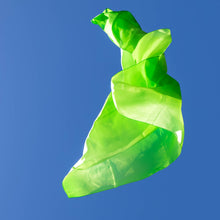 Load image into Gallery viewer, Spring Silkie