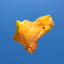 Load image into Gallery viewer, Summer Silkie