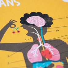 Load image into Gallery viewer, Inside Me - Learning Game