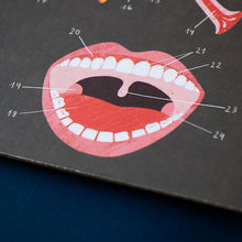 Load image into Gallery viewer, Inside Me - Learning Game