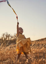 Load image into Gallery viewer, Mini-Streamer Rainbow