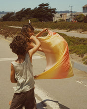 Load image into Gallery viewer, Earth Playsilks - Earth