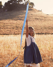 Load image into Gallery viewer, Streamer - Star