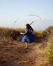 Load image into Gallery viewer, Streamer - Rainbow