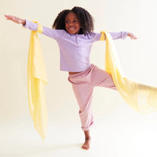 Load image into Gallery viewer, Playsilks