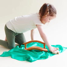 Load image into Gallery viewer, Playsilks