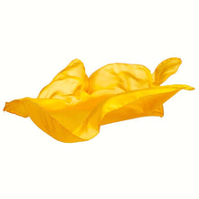 Load image into Gallery viewer, Playsilks