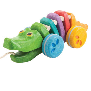 Rainbow Alligator