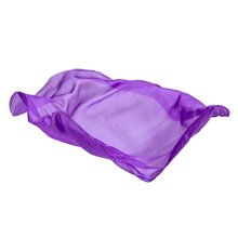 Load image into Gallery viewer, Playsilks