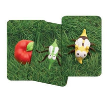 Φόρτωση εικόνας στο εργαλείο προβολής Συλλογής, Κουνούπι