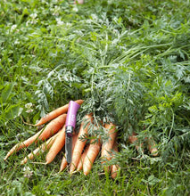 Load image into Gallery viewer, First Folding Knife