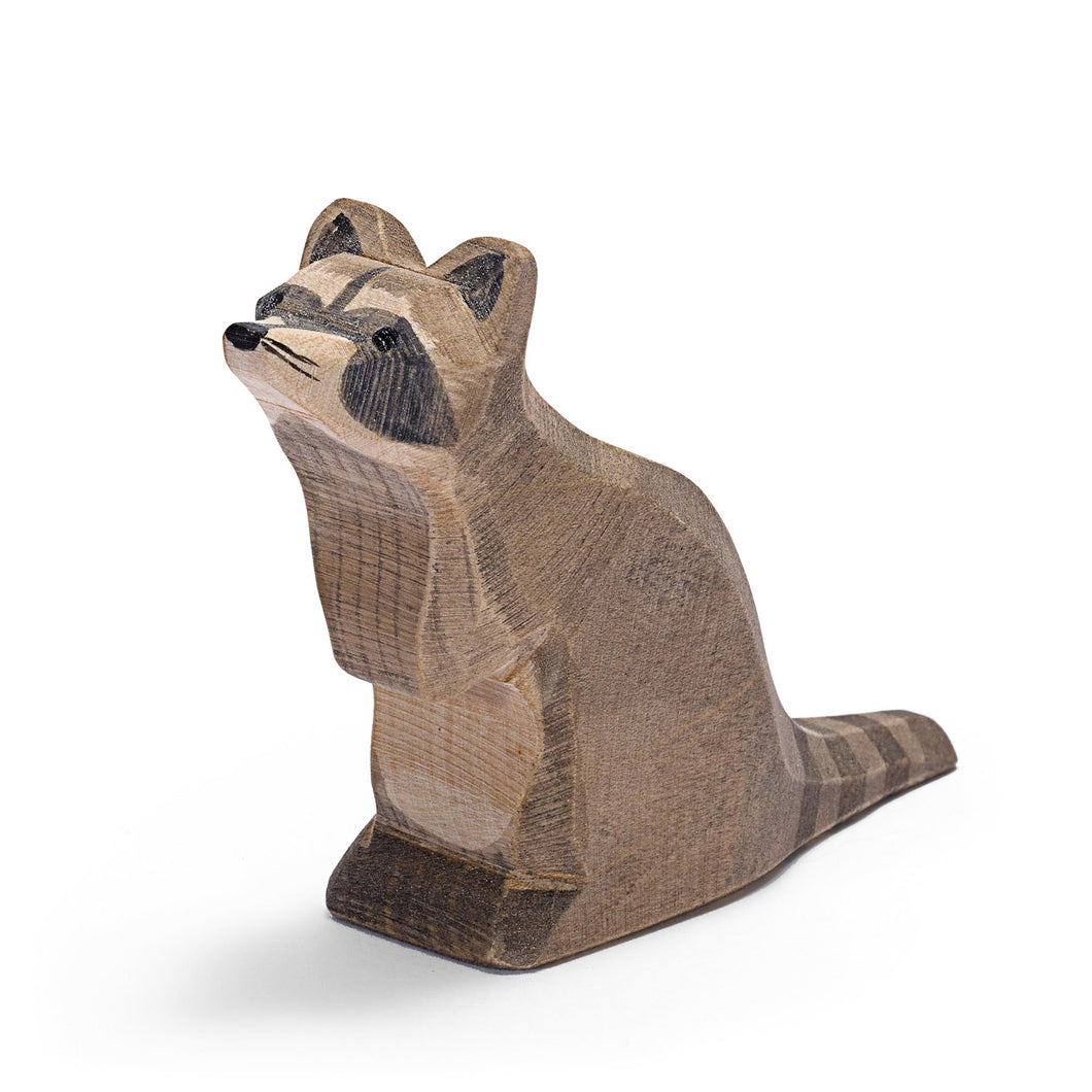 Raccoon sitting