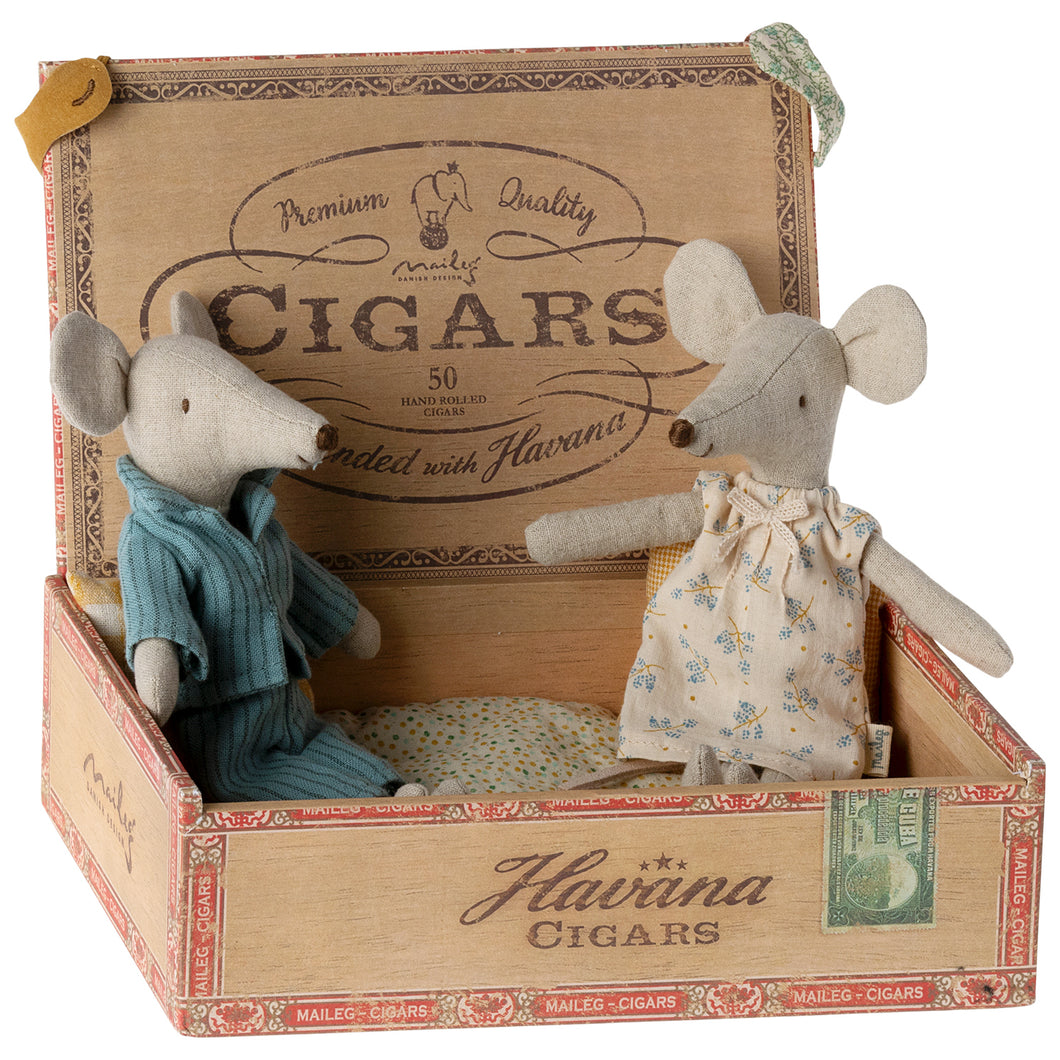 Mum & dad mice in cigar box