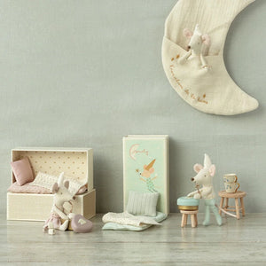 Tooth fairy, big sister mouse with Metal box