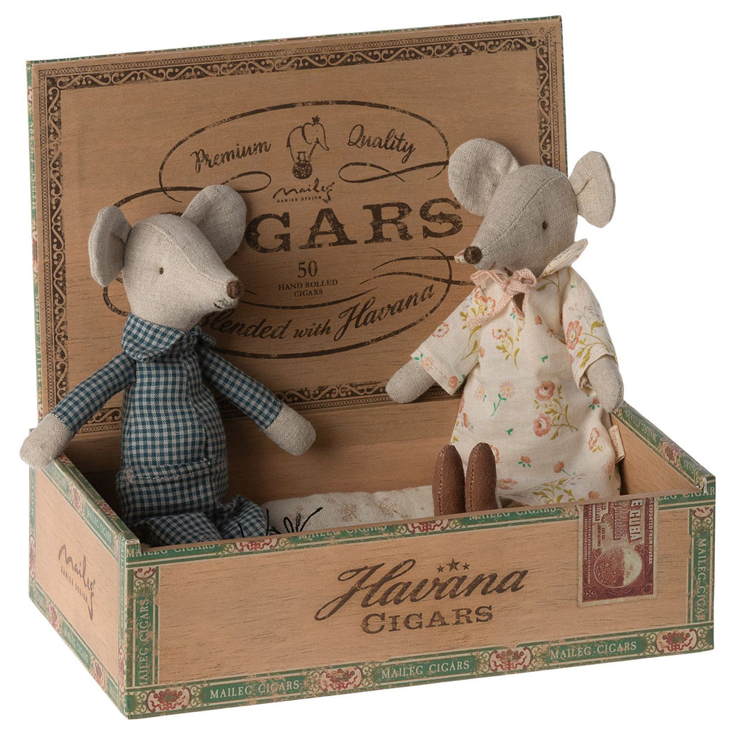 Γιαγιά και παππούς ποντίκι σε κουτί πούρων